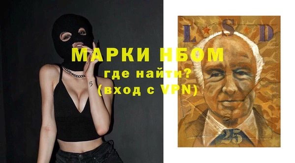 стаф Вязьма