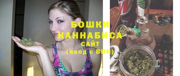 стаф Вязьма