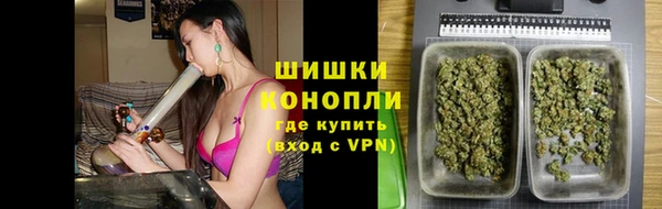 стаф Вяземский
