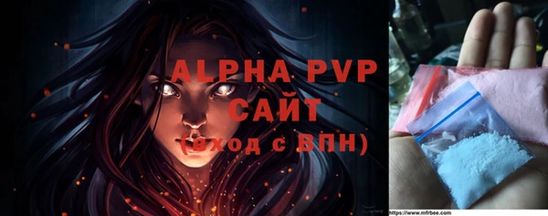 стаф Вязьма