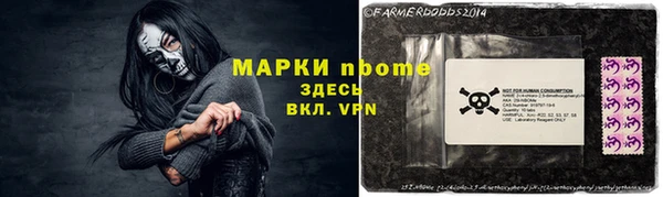 стаф Вяземский