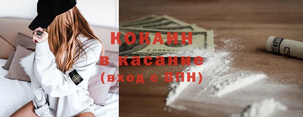 стаф Вяземский