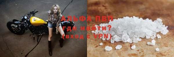 стаф Вяземский