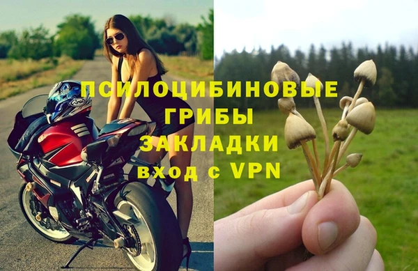 стаф Вяземский