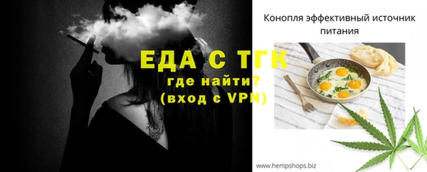 стаф Вяземский