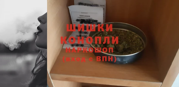 стаф Вязьма