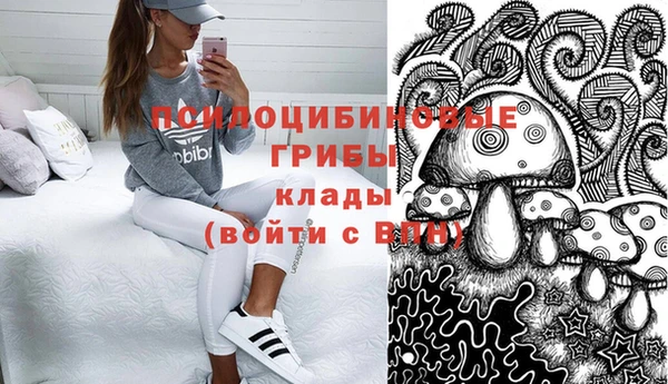 стаф Вязьма