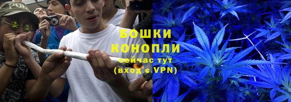 стаф Вяземский