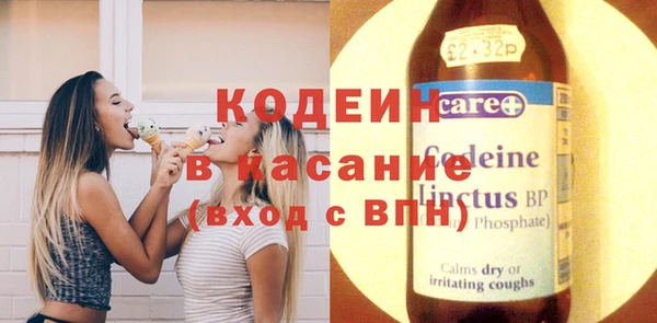 стаф Вязьма