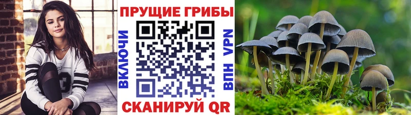 Галлюциногенные грибы Magic Shrooms  где продают   Подольск 